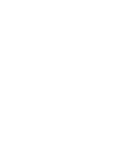 Part of the STEPP Group